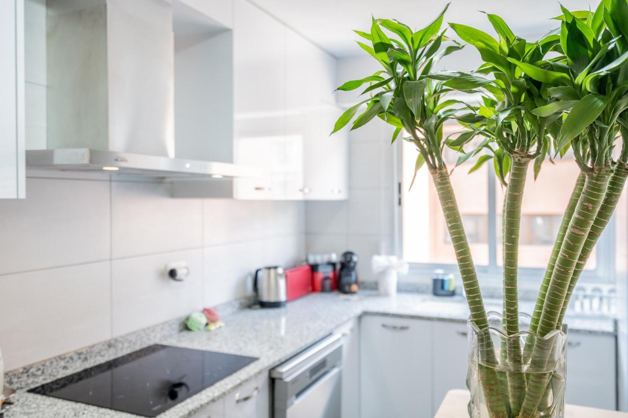 Para familias-cómodo-buena ubicación Valência Exterior foto